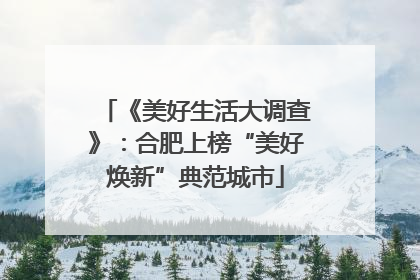 《美好生活大调查》：合肥上榜“美好焕新”典范城市