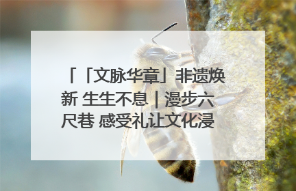 「文脉华章」非遗焕新 生生不息｜漫步六尺巷 感受礼让文化浸润的“巷”往生活