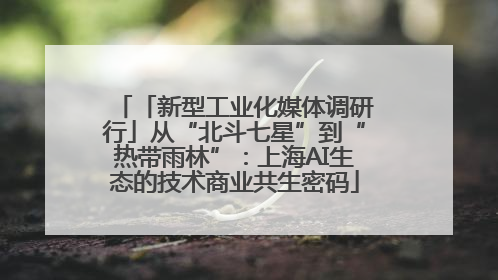 「新型工业化媒体调研行」从“北斗七星”到“热带雨林”：上海AI生态的技术商业共生密码
