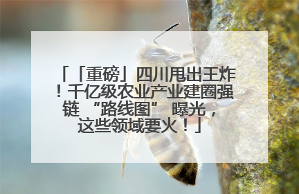「重磅」四川甩出王炸！千亿级农业产业建圈强链 “路线图” 曝光，这些领域要火！