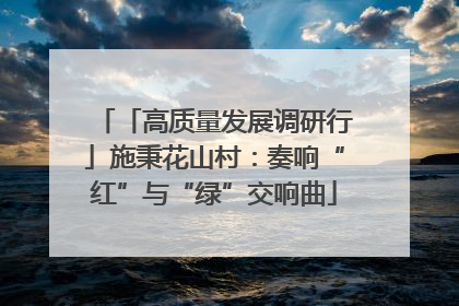 「高质量发展调研行」施秉花山村：奏响“红”与“绿”交响曲
