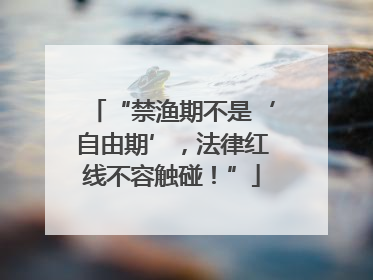 “禁渔期不是‘自由期’，法律红线不容触碰！”