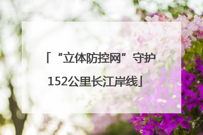 “立体防控网”守护152公里长江岸线