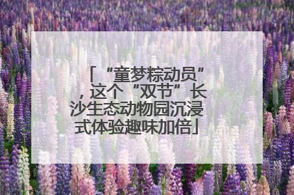 “童梦粽动员”，这个“双节”长沙生态动物园沉浸式体验趣味加倍
