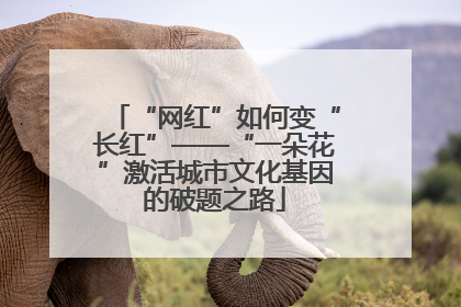 “网红”如何变“长红”——“一朵花”激活城市文化基因的破题之路