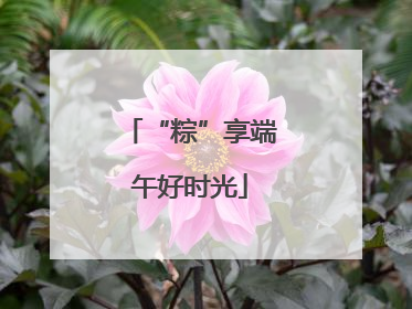 “粽”享端午好时光