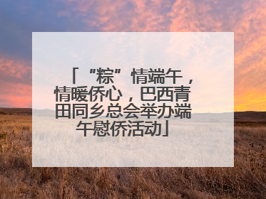 “粽”情端午，情暖侨心，巴西青田同乡总会举办端午慰侨活动