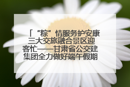 “粽”情服务护安康 三大交旅融合景区迎客忙——甘肃省公交建集团全力做好端午假期景区运营工作
