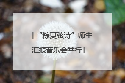 “粽夏弦诗”师生汇报音乐会举行