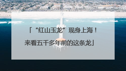“红山玉龙”现身上海！来看五千多年前的这条龙