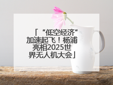 “低空经济”加速起飞！杨浦亮相2025世界无人机大会
