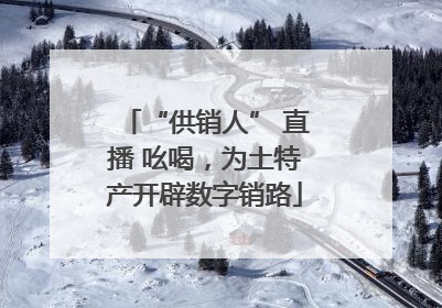 “供销人” 直播 吆喝，为土特产开辟数字销路