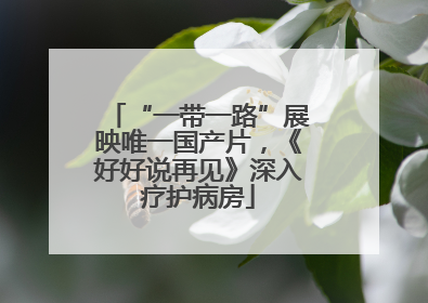 “一带一路”展映唯一国产片，《好好说再见》深入疗护病房