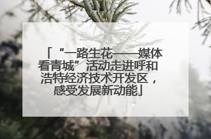 “一路生花——媒体看青城”活动走进呼和浩特经济技术开发区，感受发展新动能