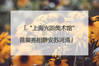 “上海光影美术馆”首展亮相静安苏河湾