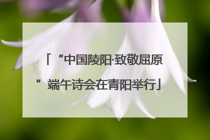 “中国陵阳·致敬屈原”端午诗会在青阳举行