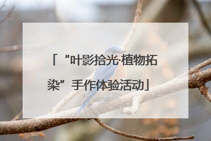 “叶影拾光·植物拓染”手作体验活动