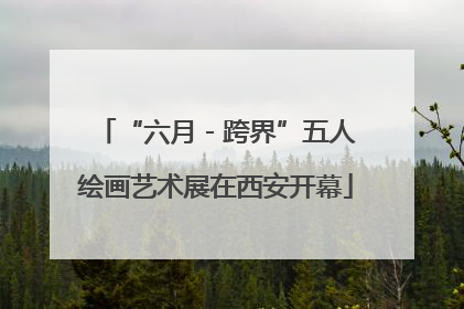 “六月 - 跨界”五人绘画艺术展在西安开幕