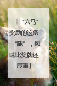 “六马”奖励的这条“腿”，风味比奖牌还厚重