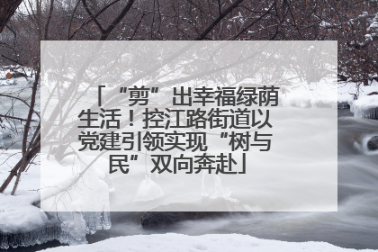 “剪”出幸福绿荫生活！控江路街道以党建引领实现“树与民”双向奔赴