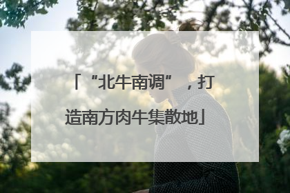 “北牛南调”，打造南方肉牛集散地