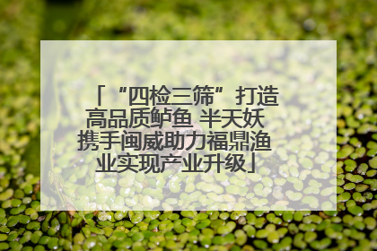 “四检三筛”打造高品质鲈鱼 半天妖携手闽威助力福鼎渔业实现产业升级