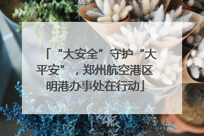 “大安全”守护“大平安”，郑州航空港区明港办事处在行动