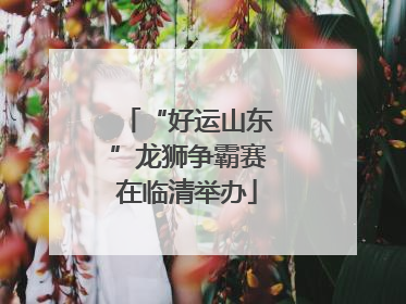 “好运山东”龙狮争霸赛在临清举办