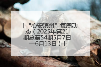 “心安滨州”每周动态（2025年第21期总第54期5月7日—6月13日）