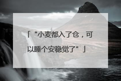 “小麦都入了仓，可以睡个安稳觉了”