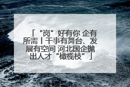 “岗”好有你 企有所需丨干事有舞台、发展有空间 河北国企抛出人才“橄榄枝”