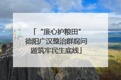 “廉心护粮田” 德阳广汉整治群腐问题筑牢民生底线