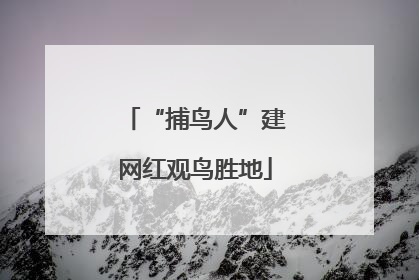 “捕鸟人”建网红观鸟胜地