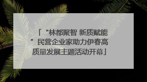 “林都聚智 新质赋能”民营企业家助力伊春高质量发展主题活动开幕
