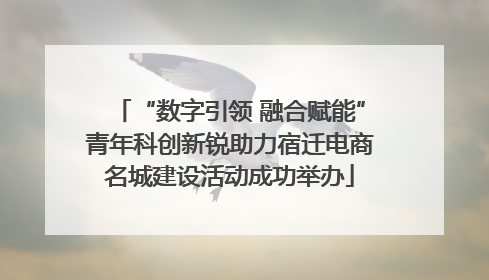 “数字引领 融合赋能”青年科创新锐助力宿迁电商名城建设活动成功举办