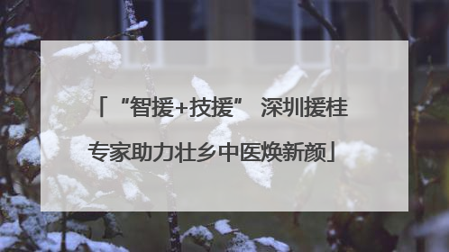 “智援+技援” 深圳援桂专家助力壮乡中医焕新颜