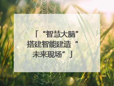 “智慧大脑”搭建智能建造“未来现场”