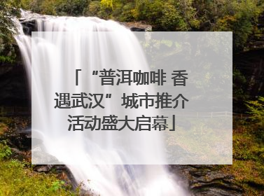 “普洱咖啡 香遇武汉”城市推介活动盛大启幕