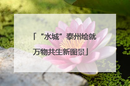 “水城”泰州绘就万物共生新图景