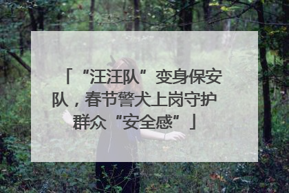 “汪汪队”变身保安队，春节警犬上岗守护群众“安全感”