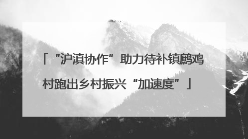 “沪滇协作”助力待补镇鹧鸡村跑出乡村振兴“加速度”