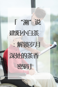 “溯”说建阳小白茶：解锁岁月深处的茶香密码