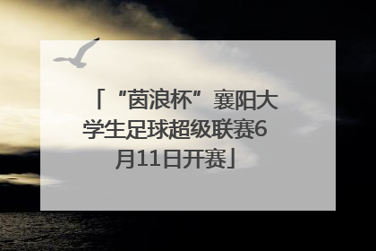 “茵浪杯”襄阳大学生足球超级联赛6月11日开赛
