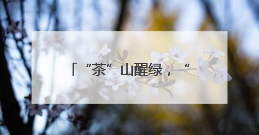 “茶”山醒绿，“悟”见金山：鄂北老区的振兴密码