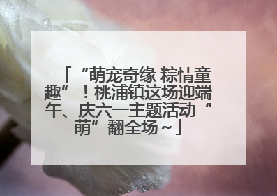 “萌宠奇缘 粽情童趣”！桃浦镇这场迎端午、庆六一主题活动“萌”翻全场～