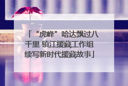 “虎峰”哈达飘过八千里 镇江援藏工作组续写新时代援藏故事