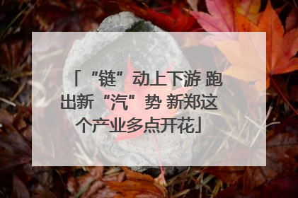 “链”动上下游 跑出新“汽”势 新郑这个产业多点开花