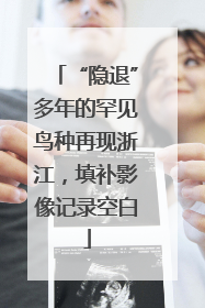“隐退”多年的罕见鸟种再现浙江，填补影像记录空白