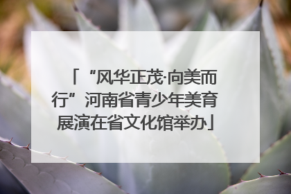 “风华正茂·向美而行”河南省青少年美育展演在省文化馆举办