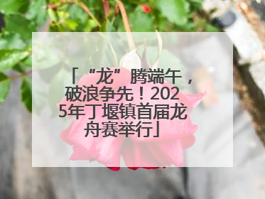 “龙”腾端午，破浪争先！2025年丁堰镇首届龙舟赛举行